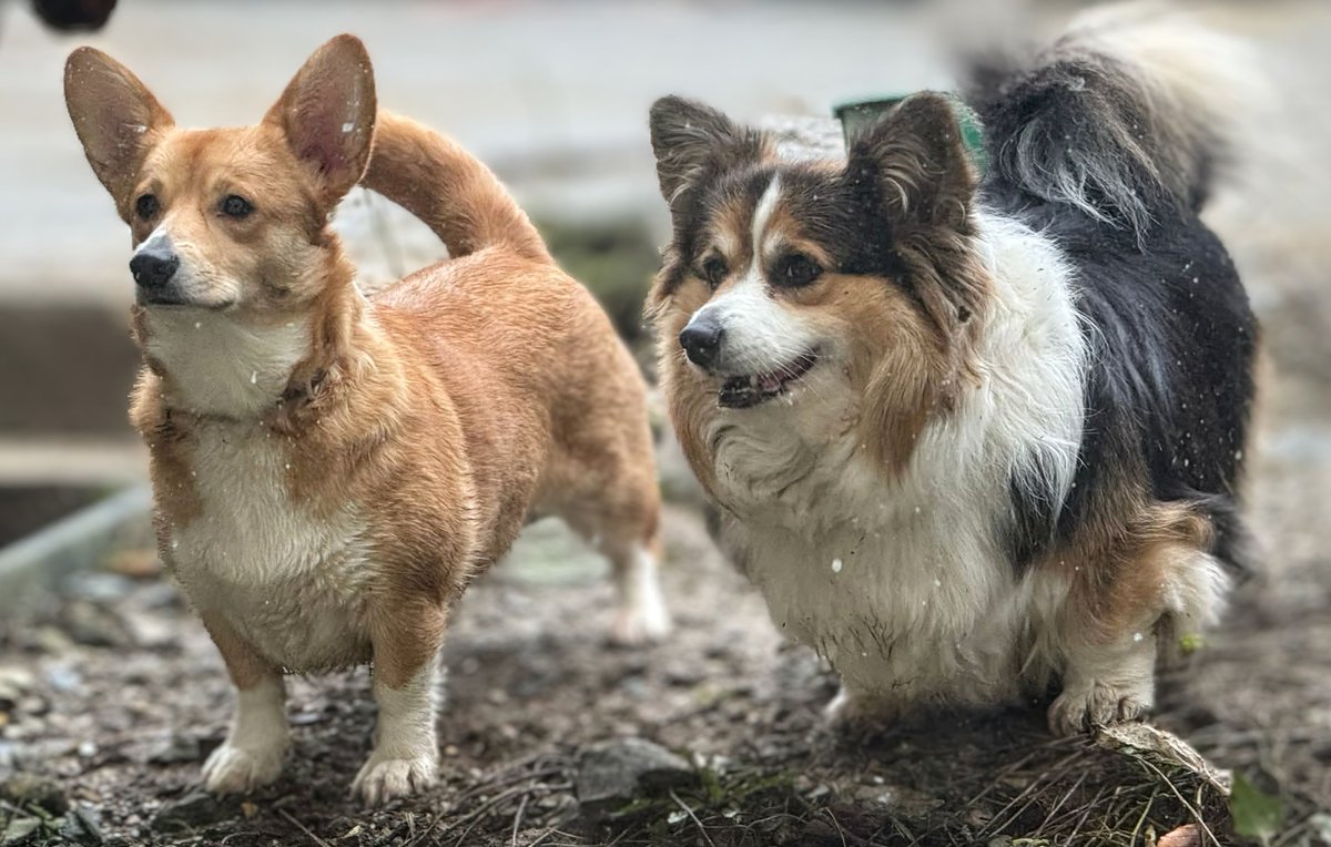 Linda James tweet media