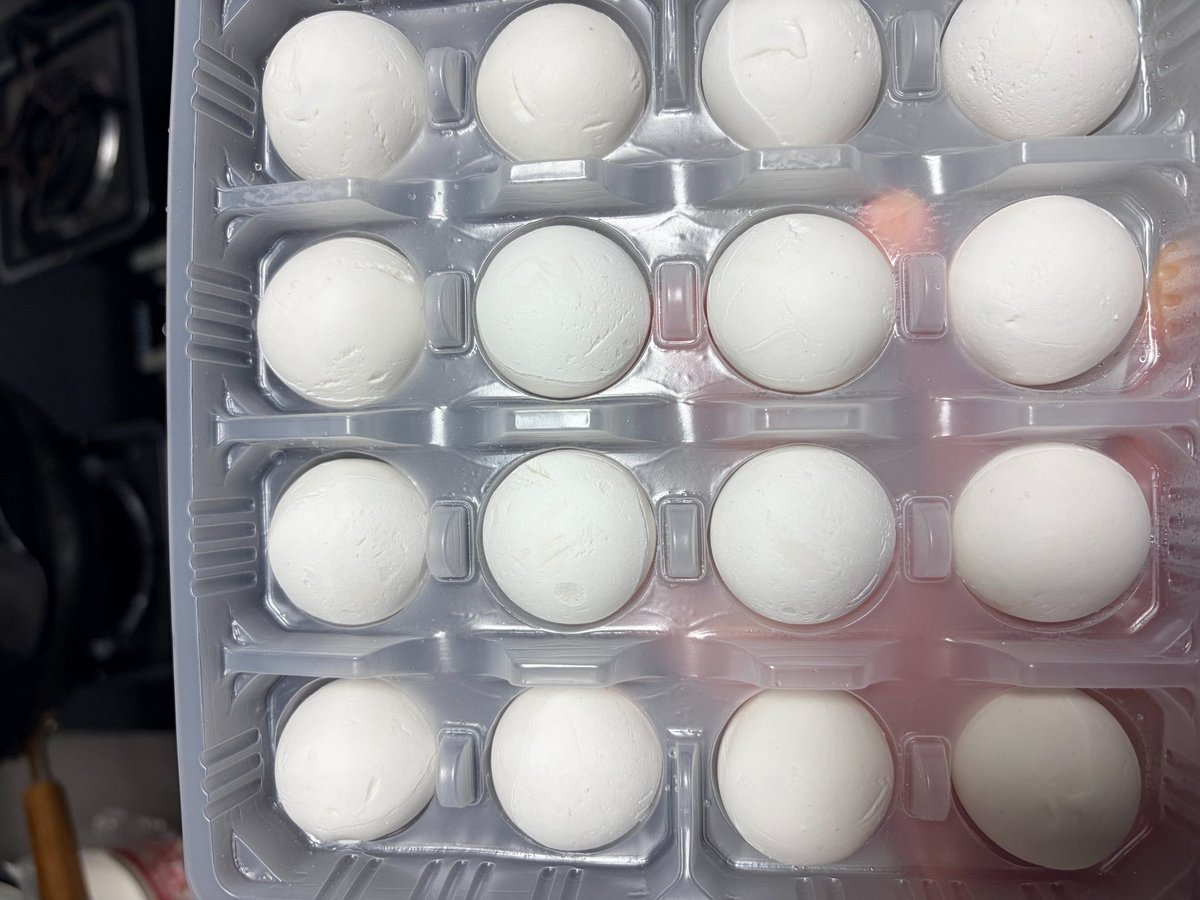 dajingou1's tweet image. 佳节未至，暖意先达。

距离元宵节还有两天，就提前被 @cn_irys_xyz 投喂的汤圆狠狠暖到了！

感谢 @cn_irys_xyz 的细腻与用心，漫长岁月里的陪伴，远比碗中的汤圆更加甘甜。

新岁新篇章，愿我们在Web3的征途上步履不停，与 IRYS 并肩同行，共赴更广阔的星辰大海！

#IRYS #Irys #元宵节快乐