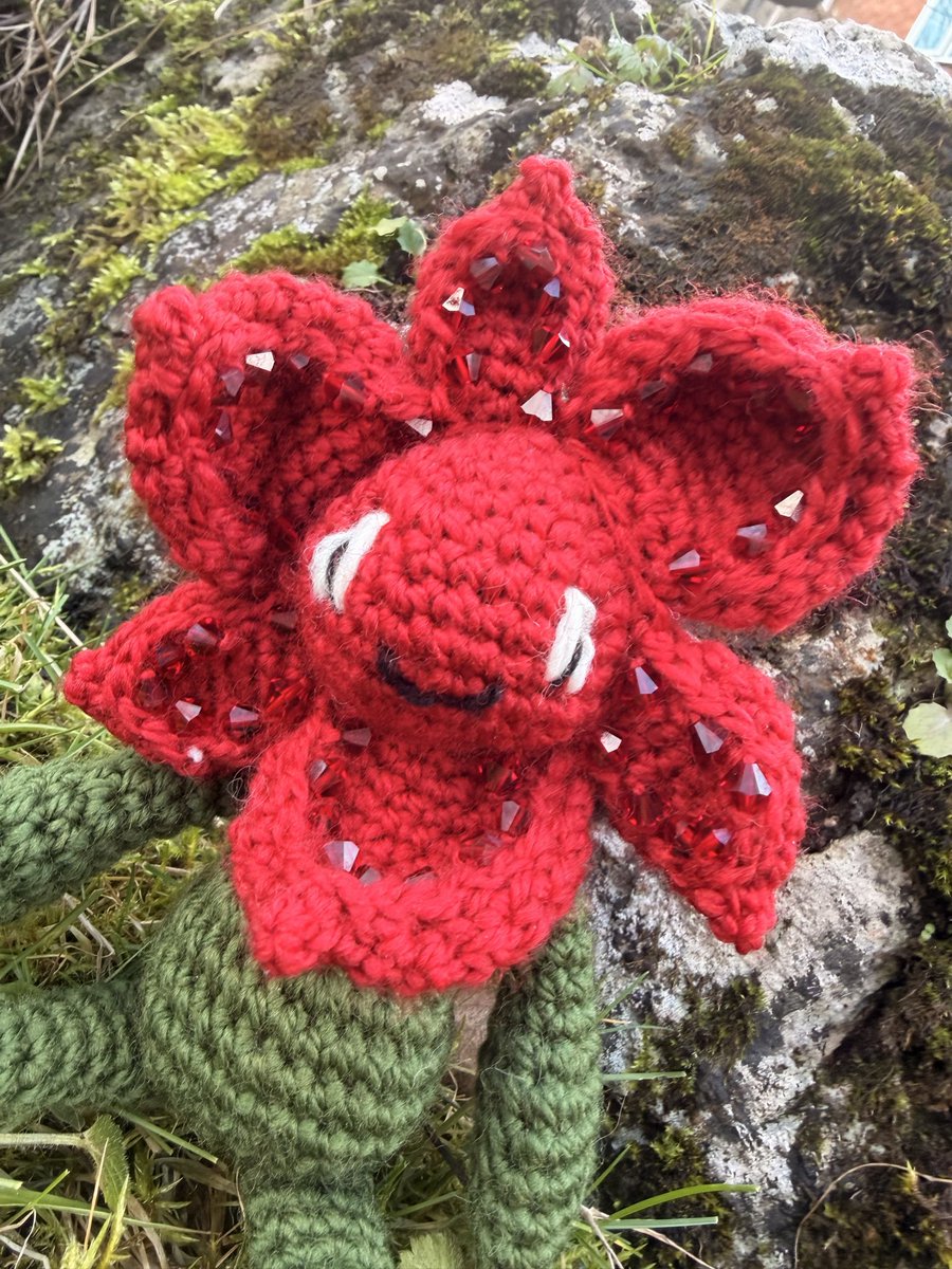 NatCBrooks's tweet photo. Another late January post! 🌺🪡 This cute little @toft_uk Poinsettia! 🧶🌿 My first TOFT flower! And loved adding the little beaded detail 💎❤️
#craftynat83 #poinsetta #toftuk #edsmenagerie #kerrylord https://t.co/esTlyAFiSV