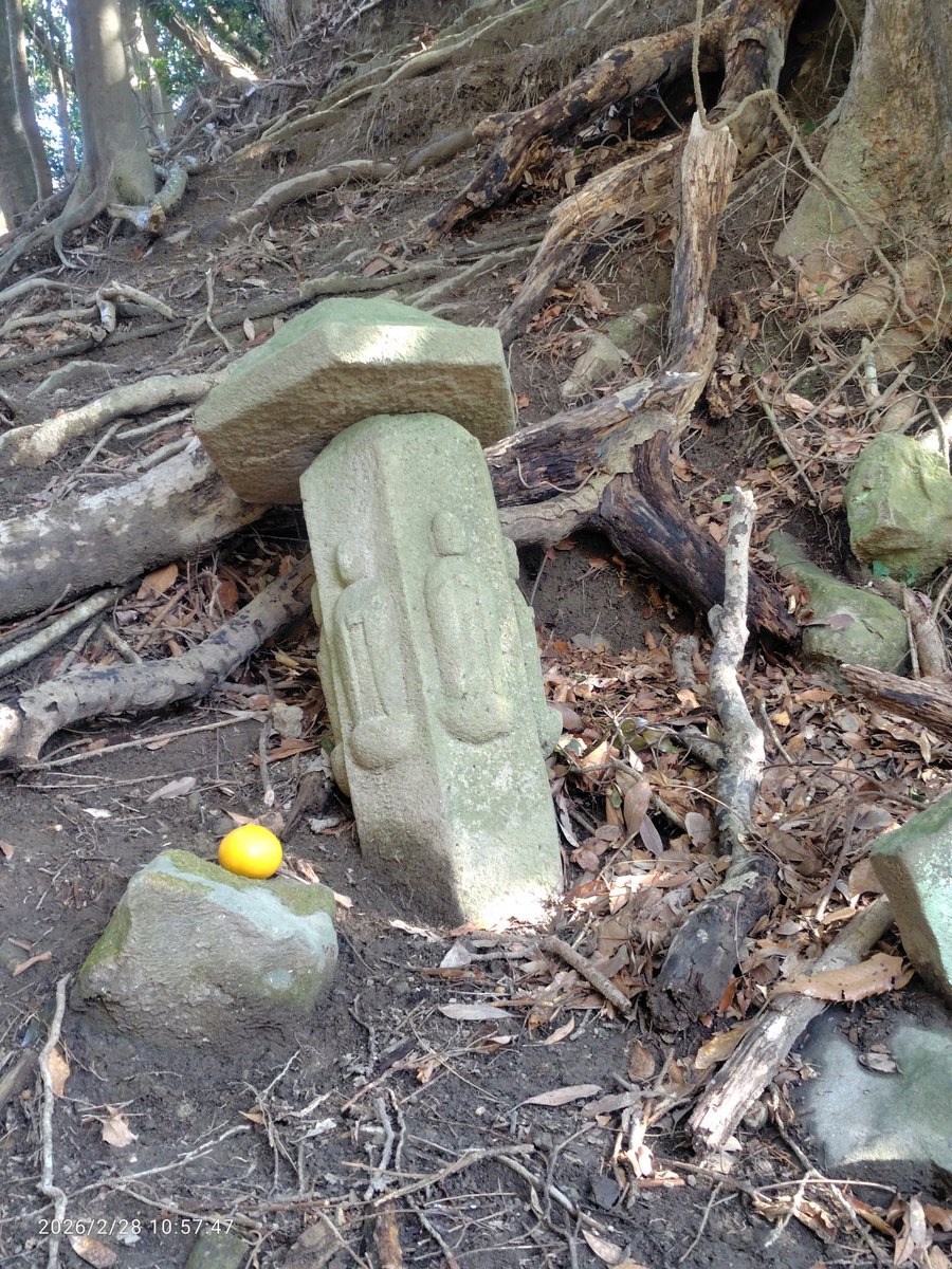 シ*ル様 房総山岳志