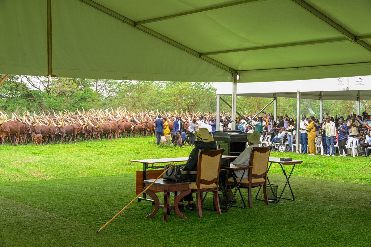 StateHouseUg's tweet image. President @KagutaMuseveni and the First Lady. Hon. @JanetMuseveni hosted the Bazzukulu at Kisozi Farm for the Jazz with Jajja – Ranch Edition.