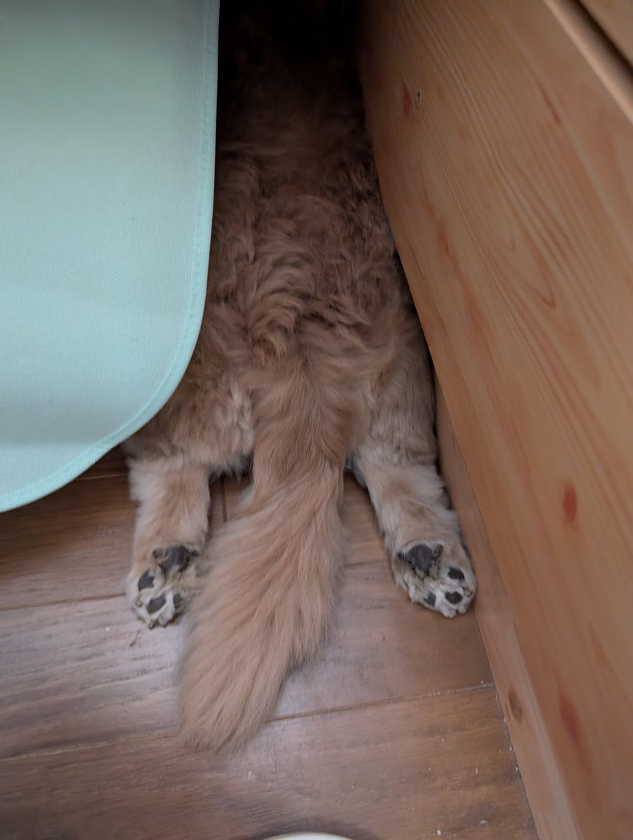 らきぐり tweet media