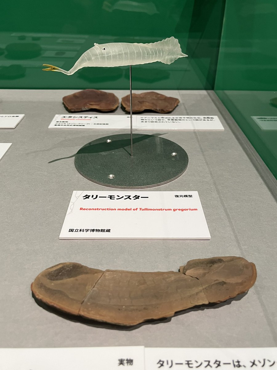 ツーソンのミネラルショー凄いな 大絶滅展で展示されていた古生物の