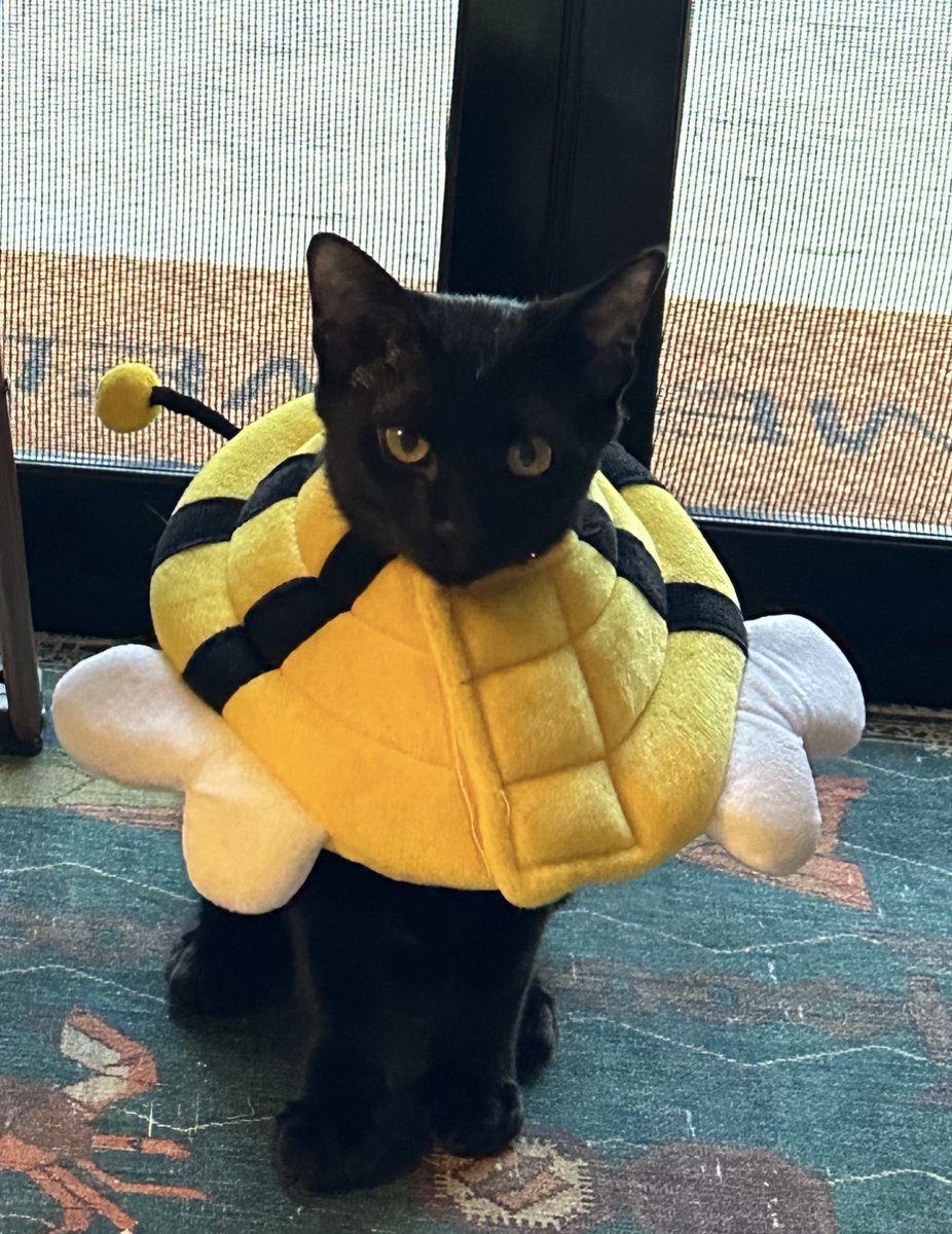 ผึ้งน้อย 3 เดือน ค่อยๆโตแล้วฮับ 🤏🏻