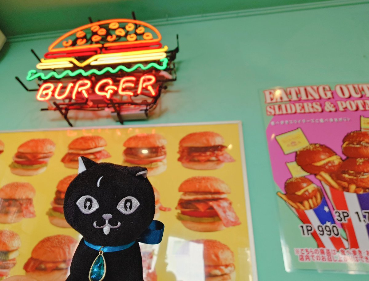 ぺけもいったんだにゃー！
ペケがたべれるものなかったにゃ😾

#ペケたび