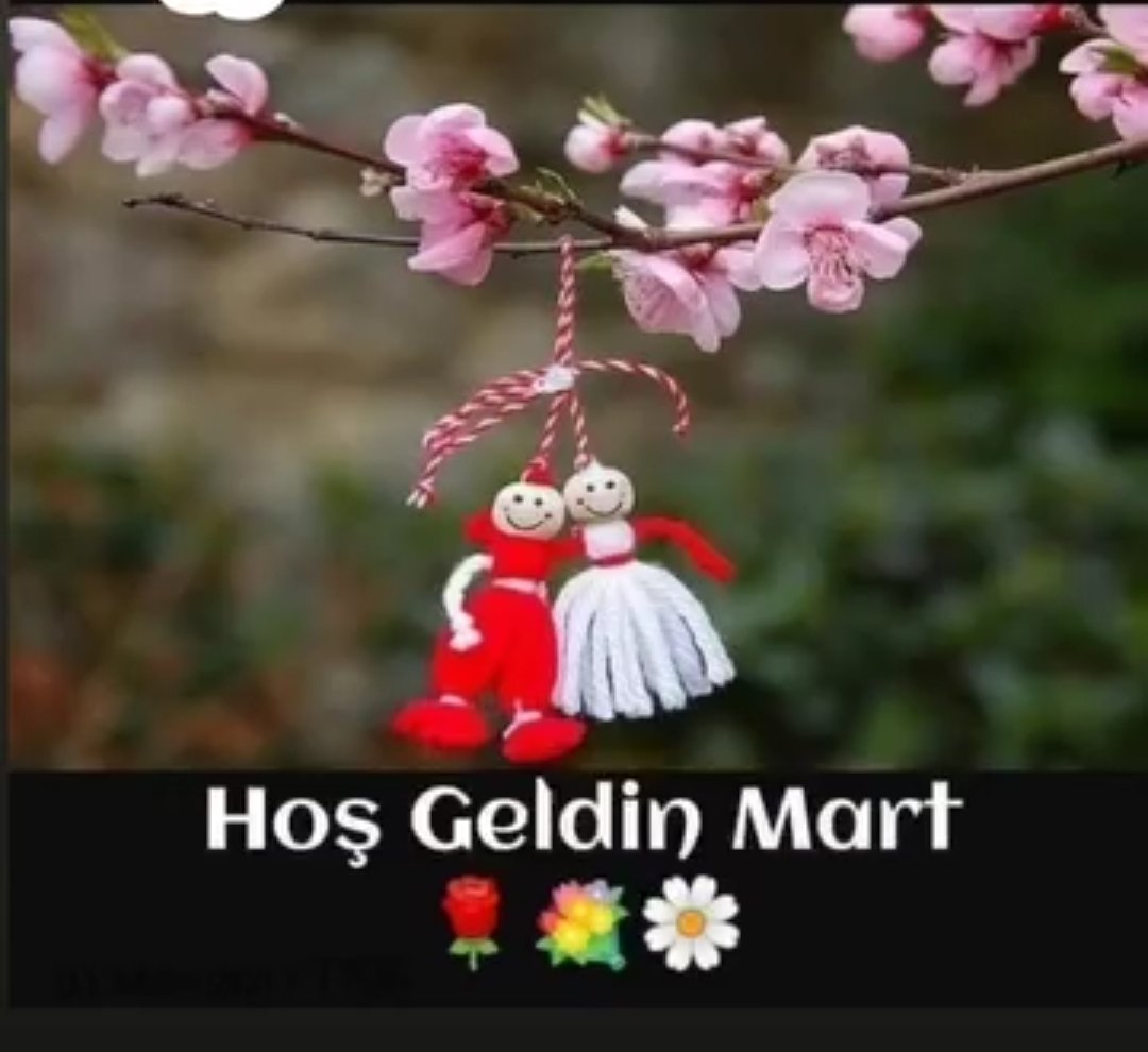 sarslan1947's tweet photo. 🍀🐞🌿🕊❤

Bugün 1 Mart, ilkbaharın gelmekte olduğunu müjdeliyor bize.. 
Gelecek  günlerimizin bahar tadında geçmesi, umutlarımızın yeniden yeşermesi dileklerimle hoşgeldin MART...... https://t.co/gcQa5BgCLn