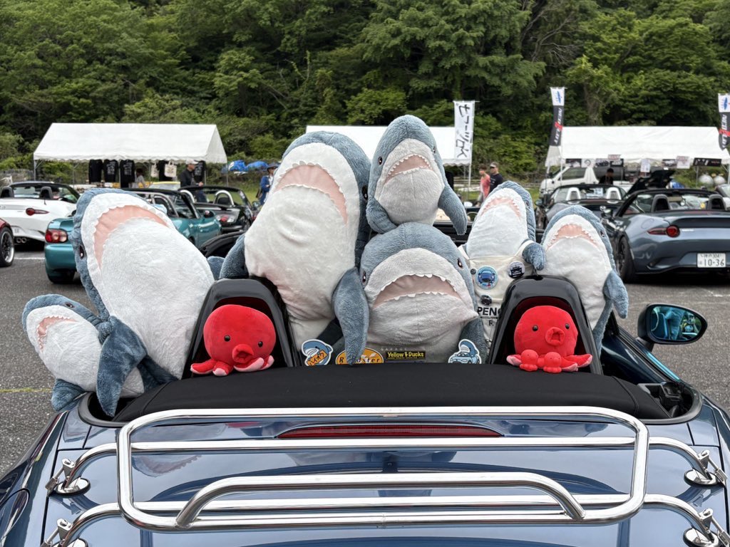 やすっち tweet media