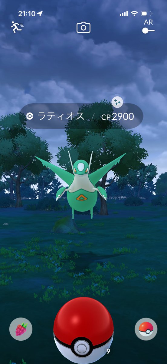 東のパンツ(別名:パンまこ) tweet media