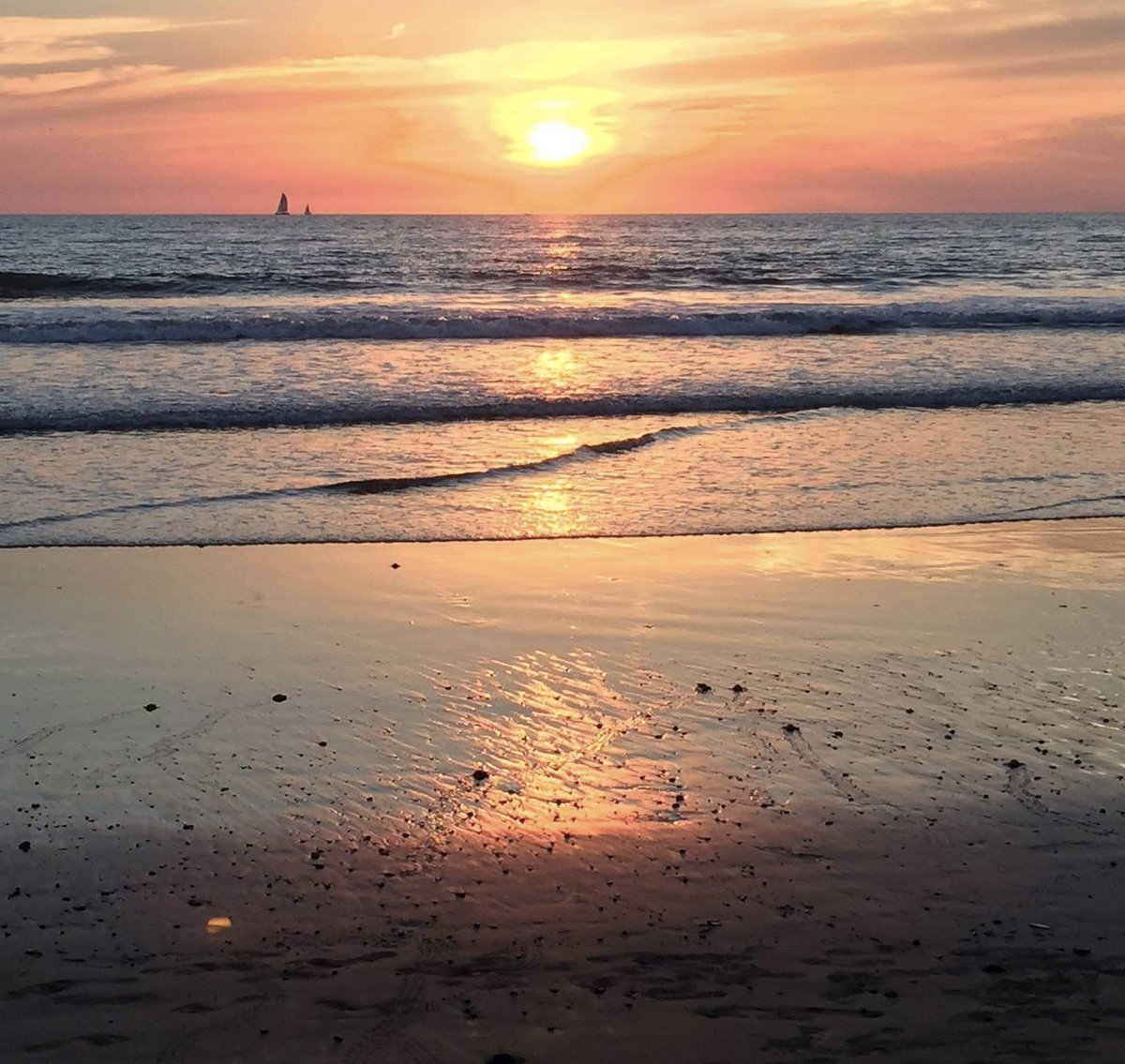 Live a Memory tweet media