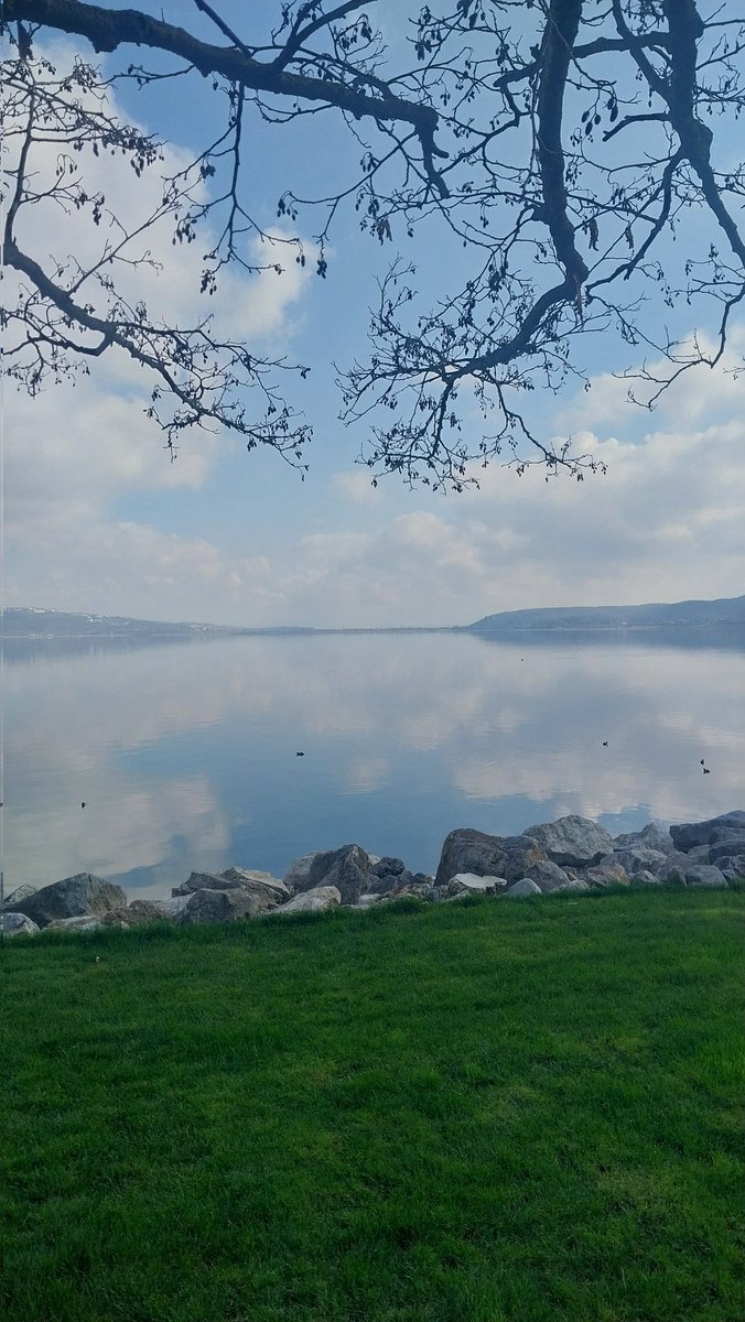 beğenmezsen bütün bahar kötü geçecek 🙂‍↔️