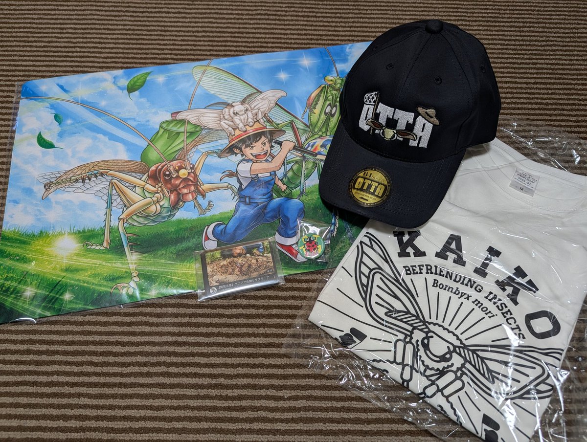 RIKU-蟲 tweet media