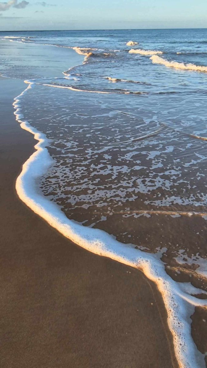 Peterhead Live tweet media