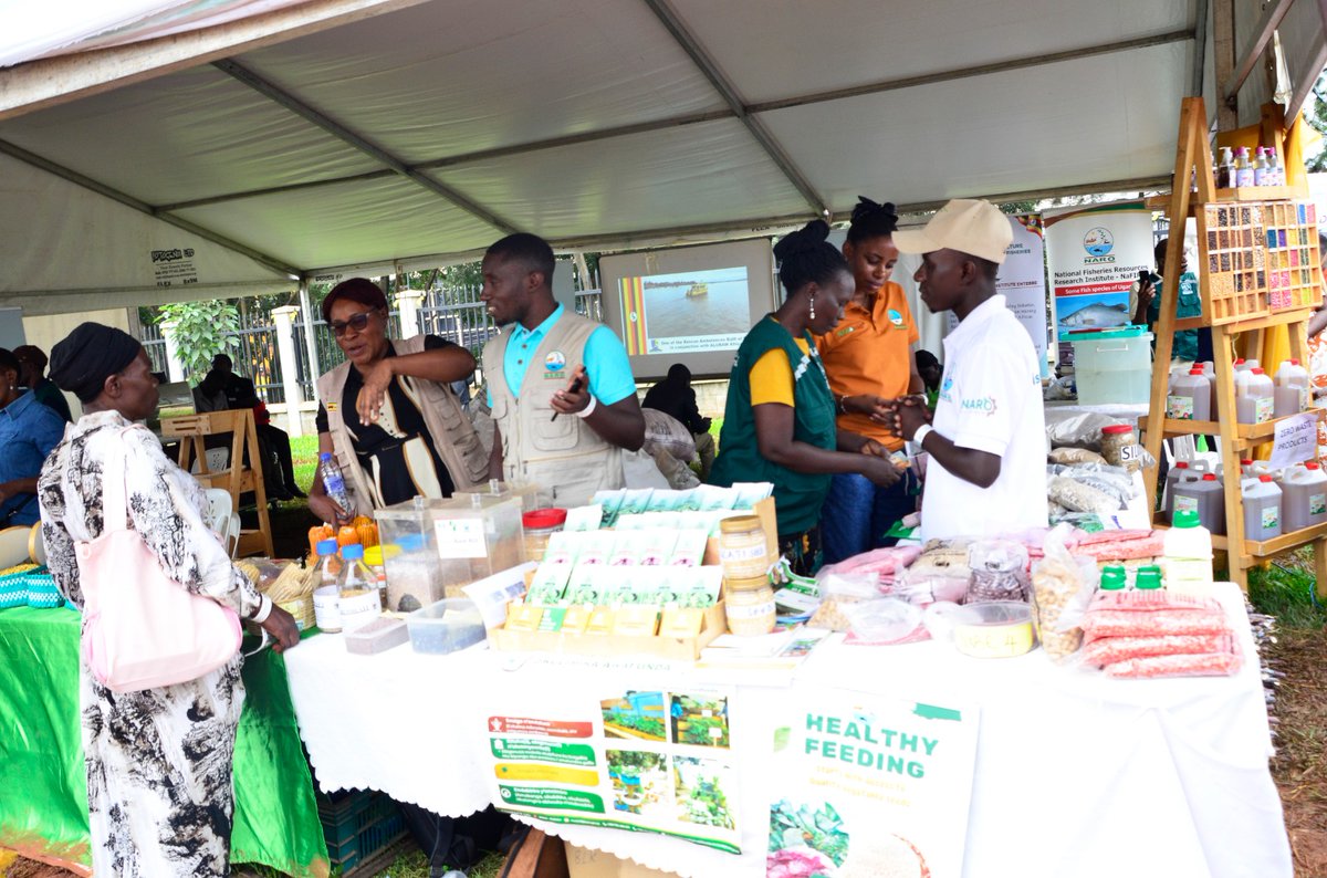 newvisionwire's tweet photo. Seed production officers from the National Crop Resources Research Institute (NaCRRI) showcase a range of improved crop varieties. #VisionUpdates #HarvestMoneyExpo #HarvestMoneyExpoAt10 #HarvestMoneyExpo2026 

📸 Juliet Kasirye https://t.co/ZW8JNDyWfp