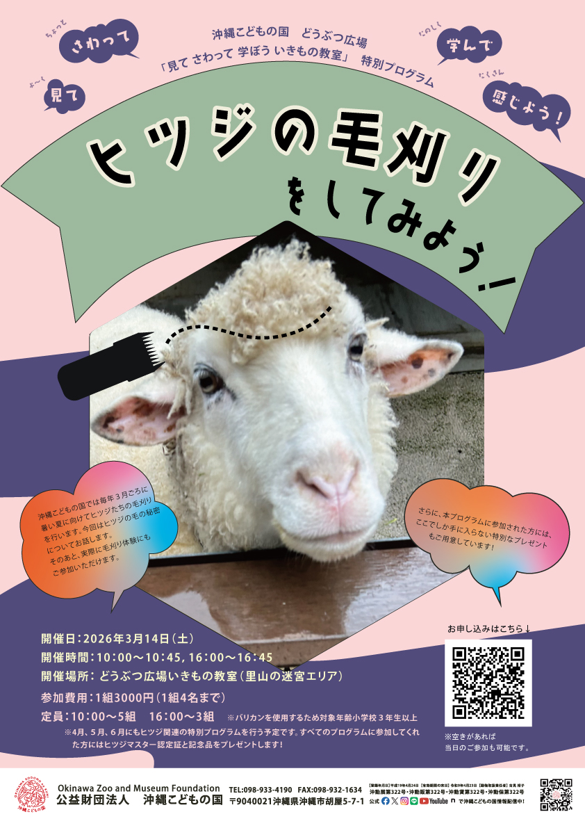 参加者募集中！ 『どうぶつ広場特別ワークショップ「ヒツジの毛刈りを
