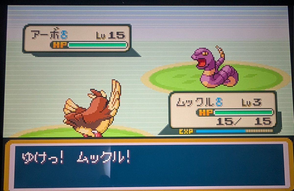 #ポケモン30周年 
金玉橋で金策に利用される我が家のムックル(ポッポ)