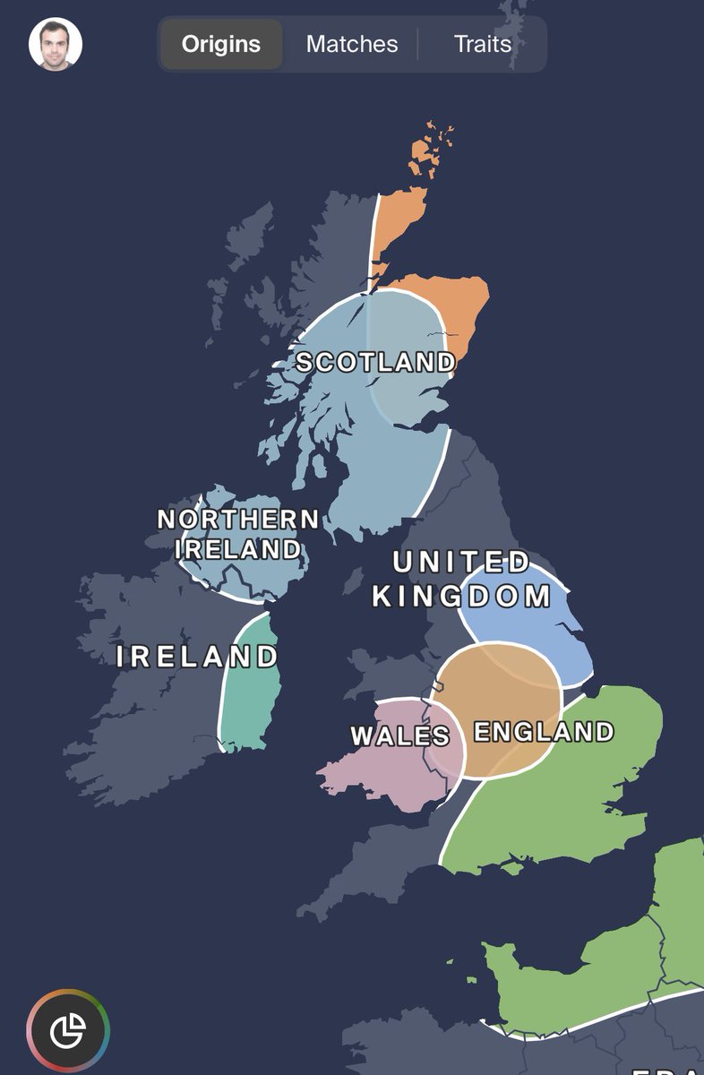 Here’s my DNA snap off Ancestry app. 
If Nana Akua does one, it looks different. 
Happy to help clear this complex debate up for you all. 🤷‍♂️