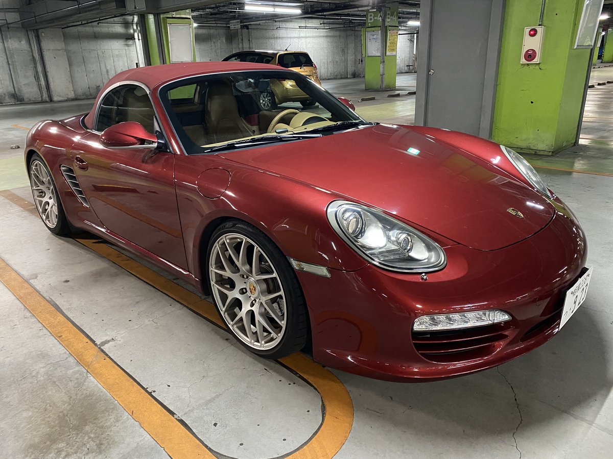 この前の雨で綺麗になっとる😍