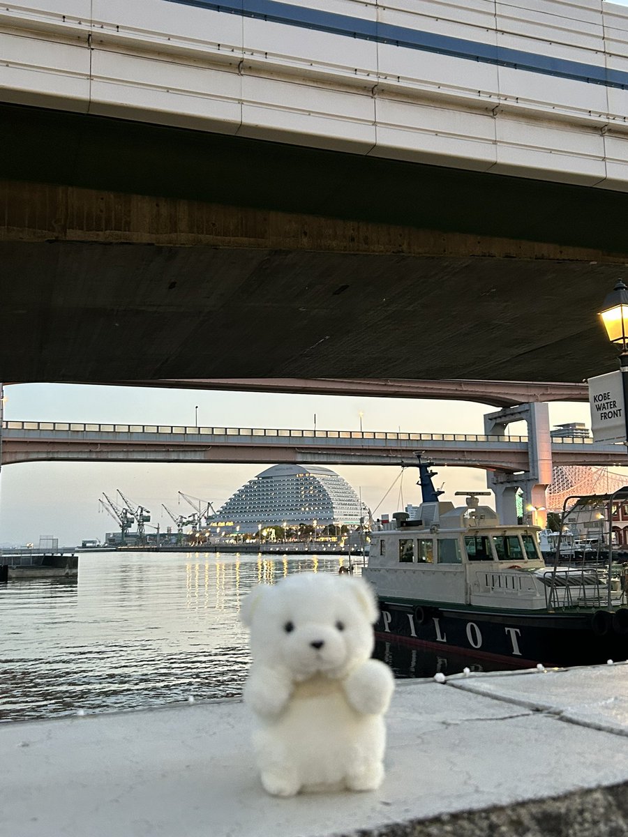 mkr_2525's tweet photo. たのしかったね！ https://t.co/VyOnI0nUOl
