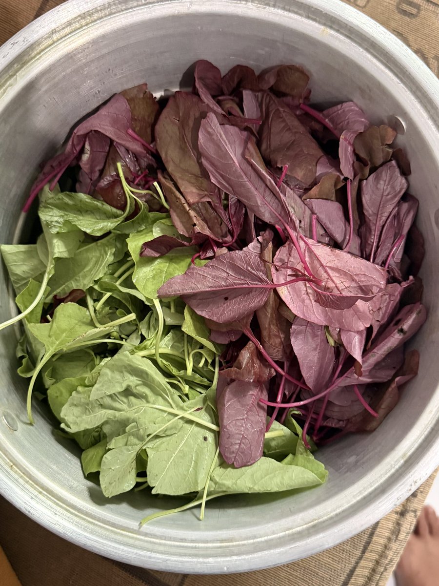 marc tuan🇭🇰 tweet media