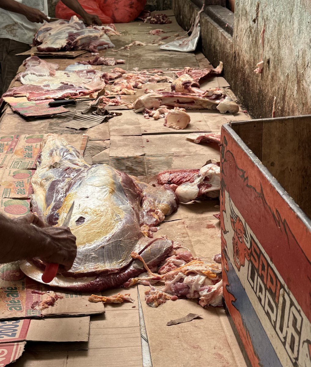 marc tuan🇭🇰 tweet media