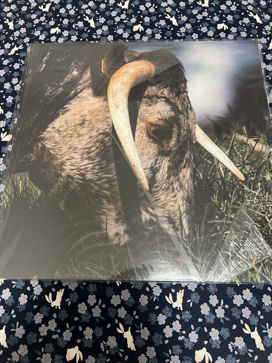 1日1作品レコード紹介 73日目 SLOW WHITE FALL 「PUSHING THROUGH A