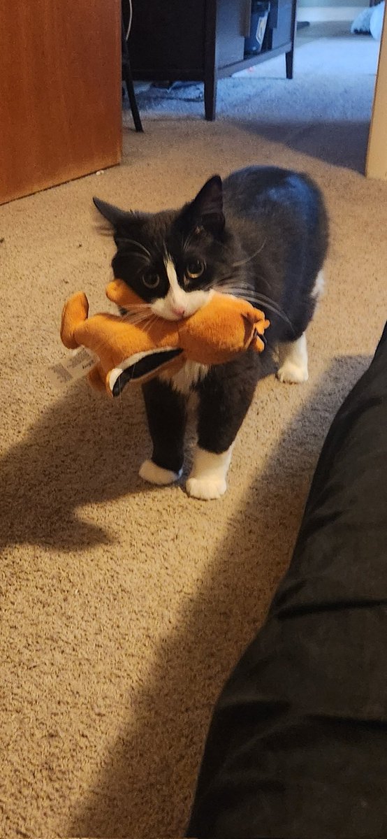 Kelseeyy tweet media