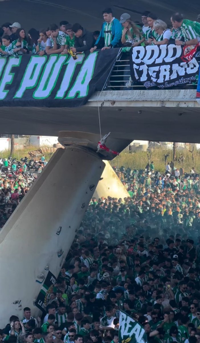 Barras_LATAM's tweet photo. 🇪🇸🐰Los muchachos del Real Betis colgaron un conejo muerto con la bufanda del Sevilla, en la previa del clásico entre ambos equipos. https://t.co/yFDOnaVc3X