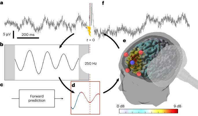 Paolo Belardinelli tweet media