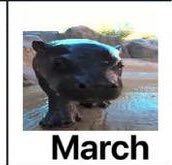 Good morning everyone. I took a day off yesterday to recharge for this new month 

Let’s start this month strong and hunt for new gems.💸