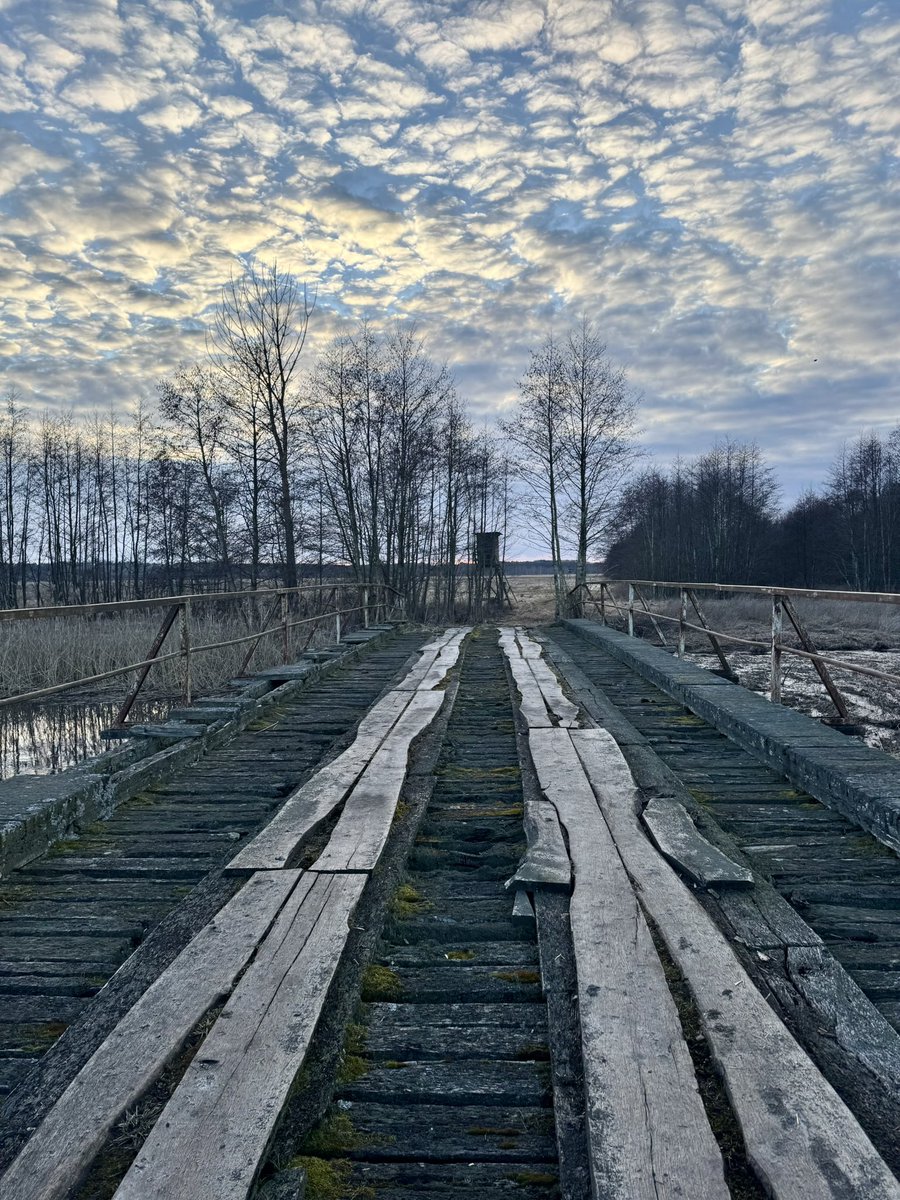 Der Graf tweet media