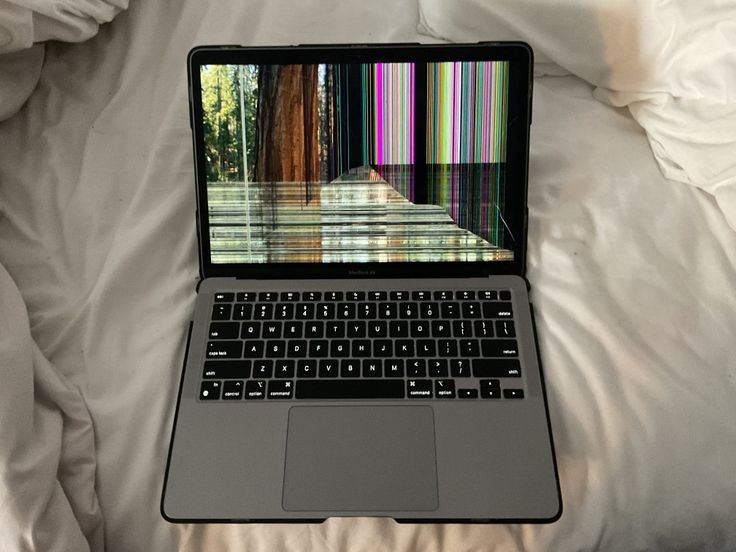 What would you do in this situation?