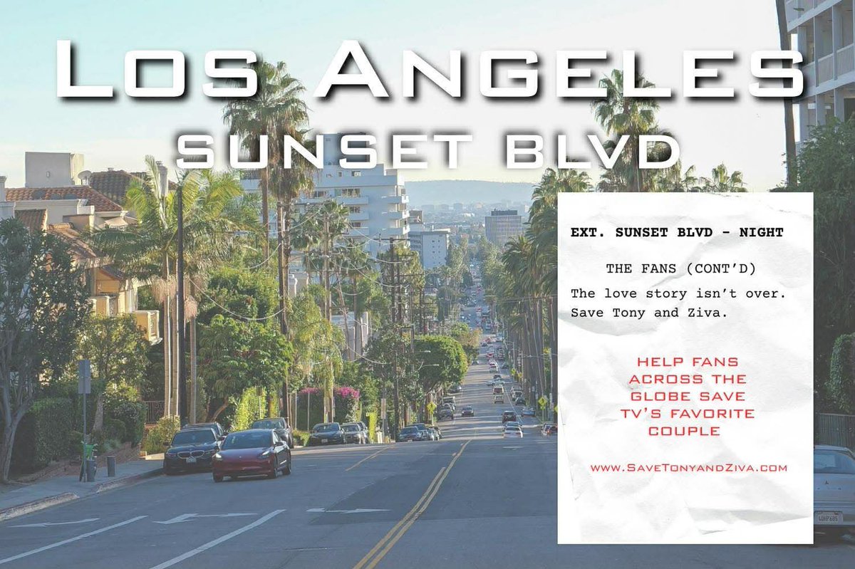 NCISTivaFans's tweet photo. Tiva fans are rewriting the story. Today, for The Actors Awards (formerly SAG Awards), we’ve painted Hollywood in scripts to #SaveTonyandZiva. 

The billboards can be seen at multiple locations around Los Angeles. 

Let’s keep the pressure on and save Tony and Ziva 📝🎬 https://t.co/qkoGhZc1rb