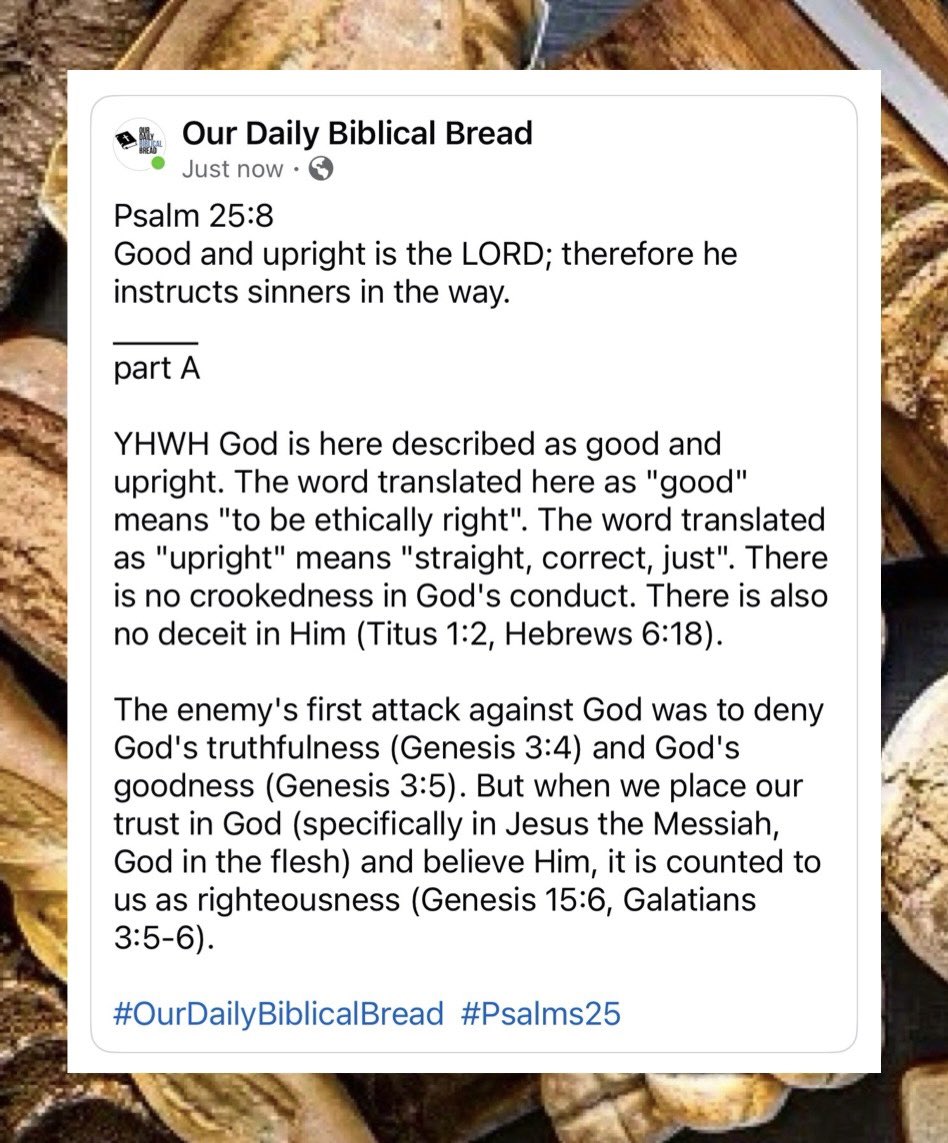 Our Daily Biblical Bread (@BiblicalBread) / Posts / X