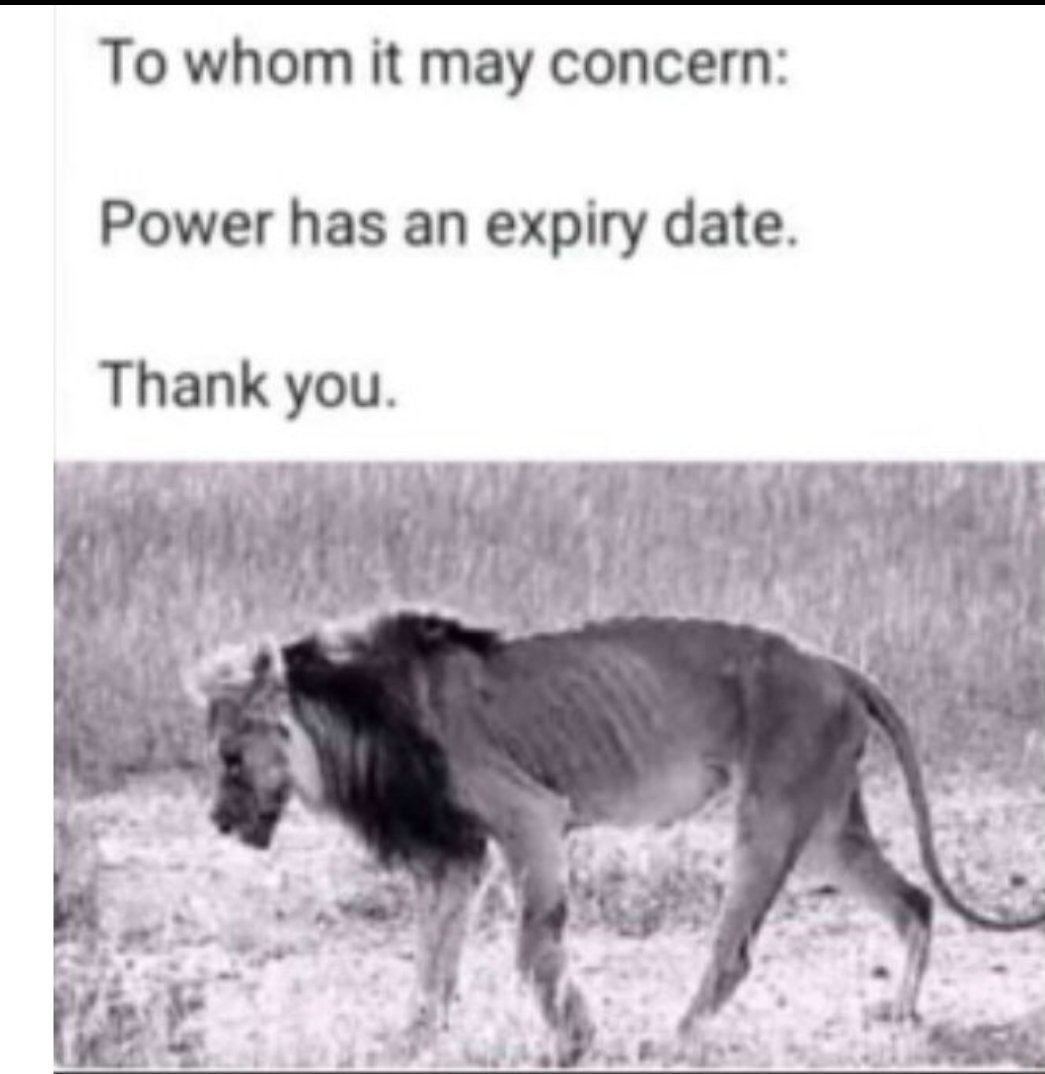 Gushaz28's tweet image. Shiri inozongofa !!!