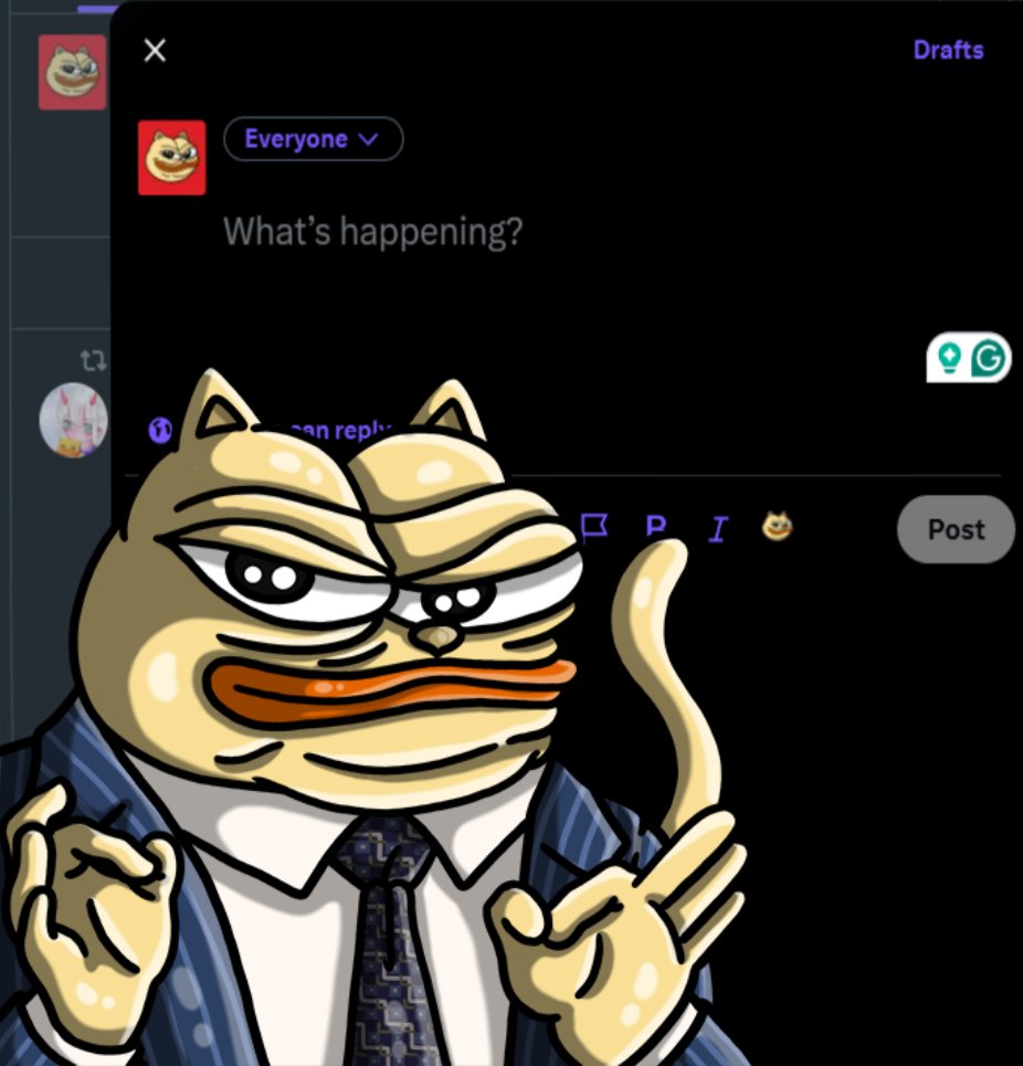 chonkycom's tweet photo. WHO WANTS TO DO A PAID DISCLOSED SHILL FOR $CHONKY TO TEST THE NEW @X FEATURE? https://t.co/BgHz7L9K2w