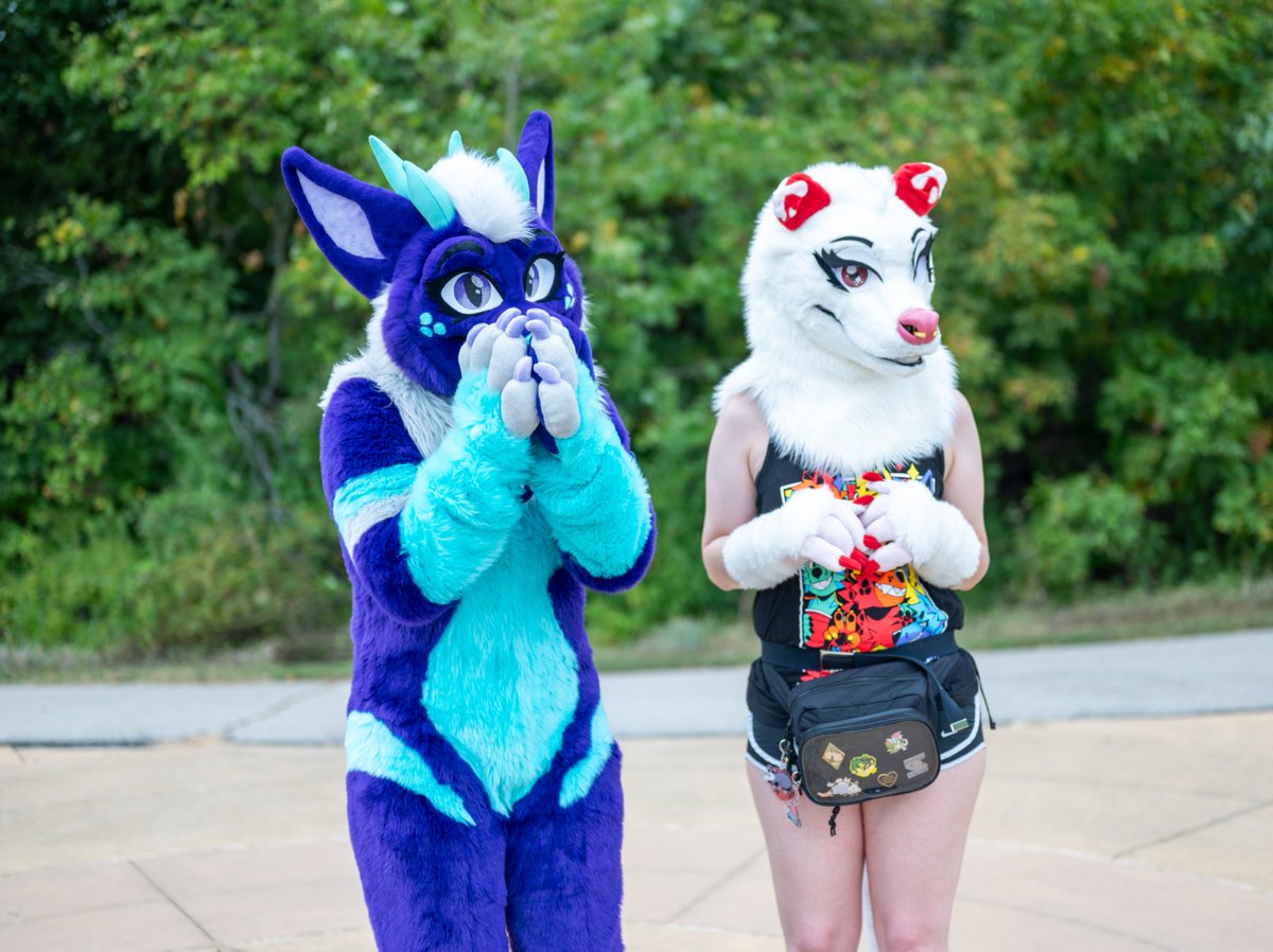 Fountain City Furs tweet media