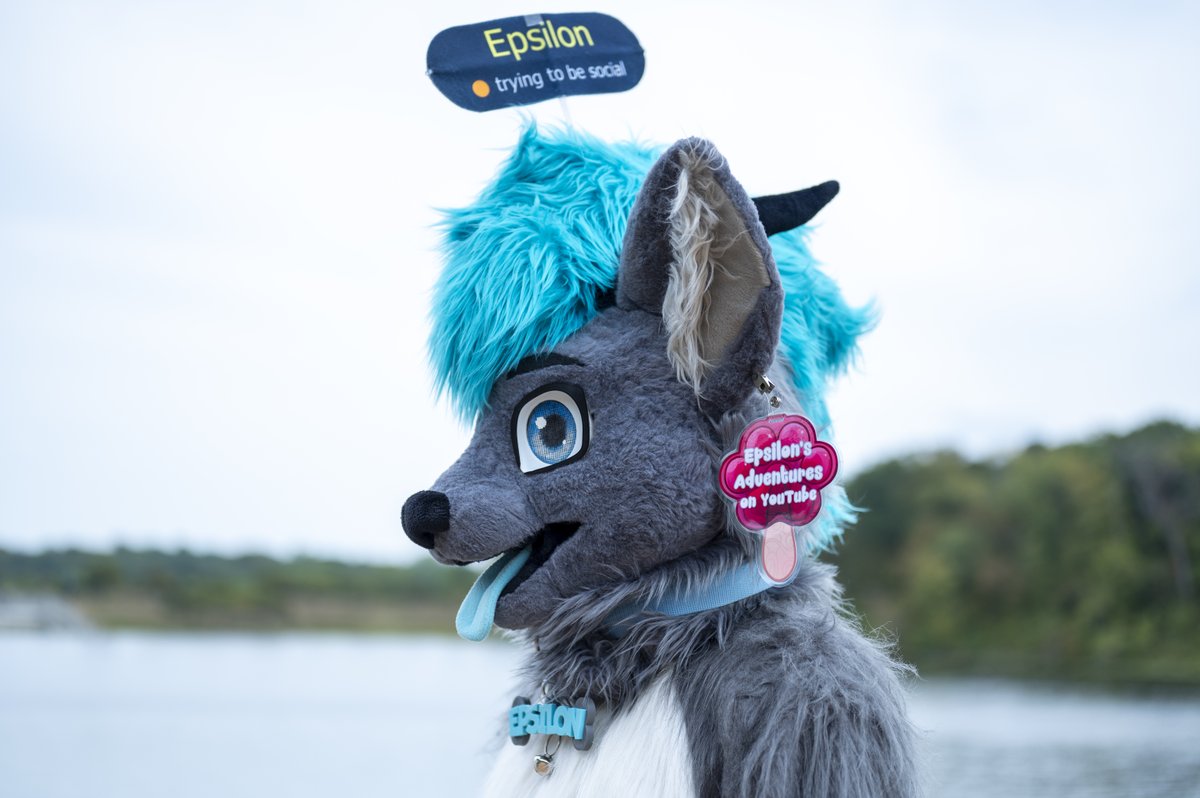 Fountain City Furs tweet media