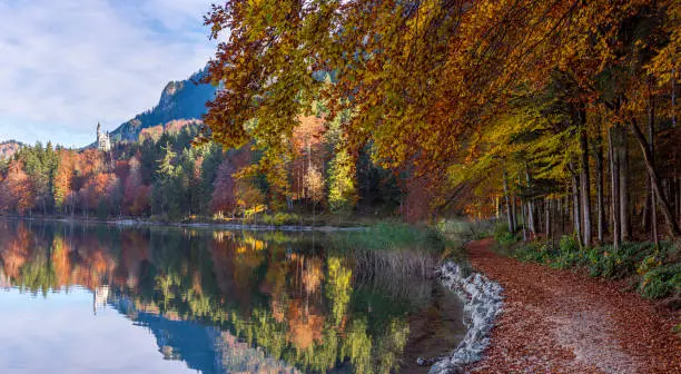 castlecrossing's tweet photo. Let's take a journey through the power of imagination together! #ImaginationJourney #CreativeWorlds https://t.co/5TaVAXp8Nu https://t.co/dde1X1LQ4L