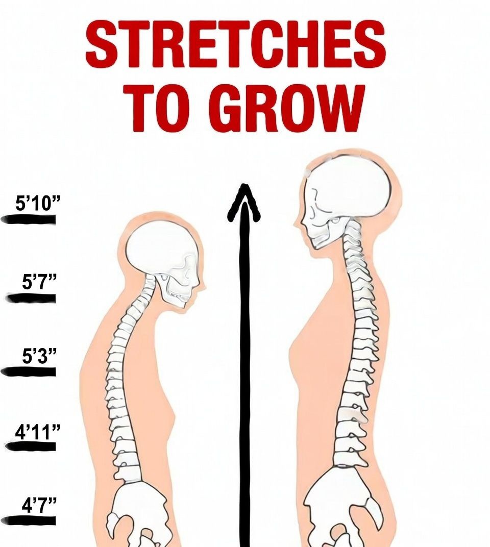 9 Stretching Exercises to Grow...

-Thread-