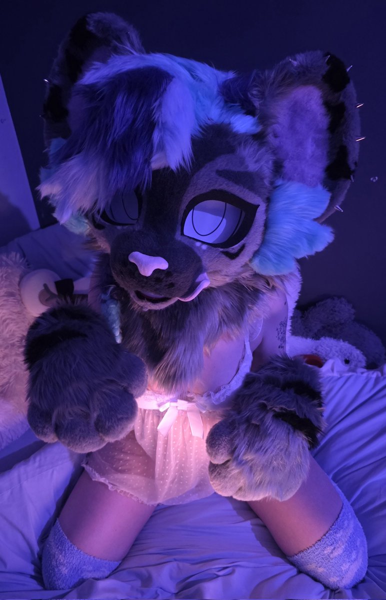 💎Prada.Paws💎 tweet media