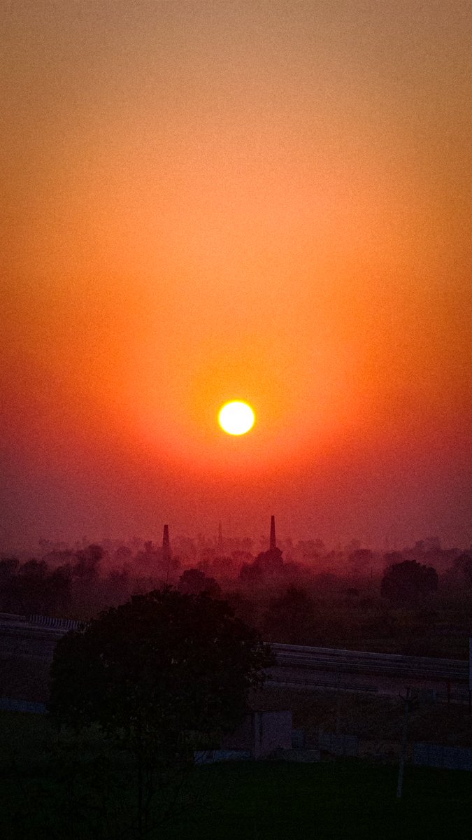 MedhaviAnuj's tweet photo. @indian_pitta https://t.co/SPY2CDvoUP