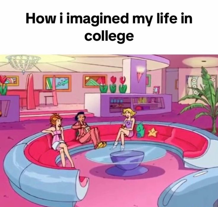 How i imagined my life in college