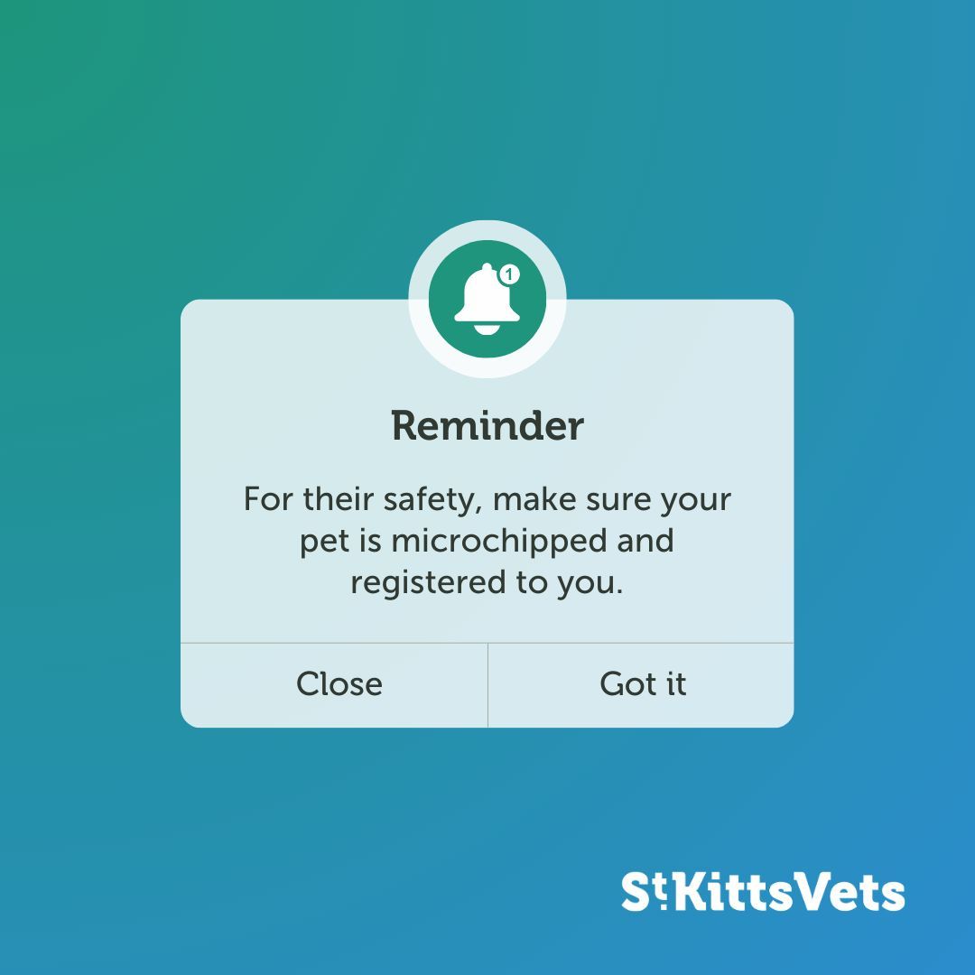 St Kitts Veterinary Group tweet media