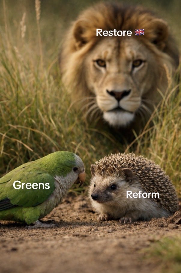 BlondeBrit__'s tweet image. 