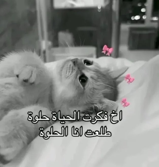 ema (@iemanayman) on Twitter photo 