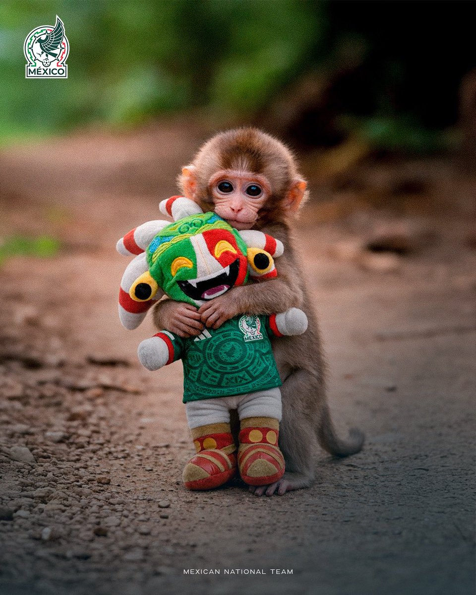 Bolaskie's tweet image. #FelizDomingo #PunchMonkey #WorldCup @miseleccionmx 🇲🇽❤️