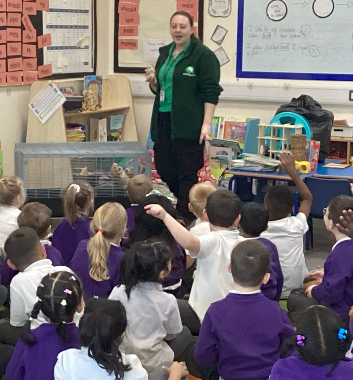 Welland Academy tweet media