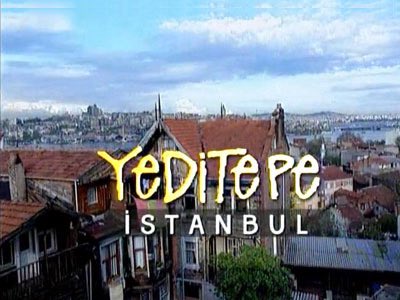 aydan atlayan kedi tweet media
