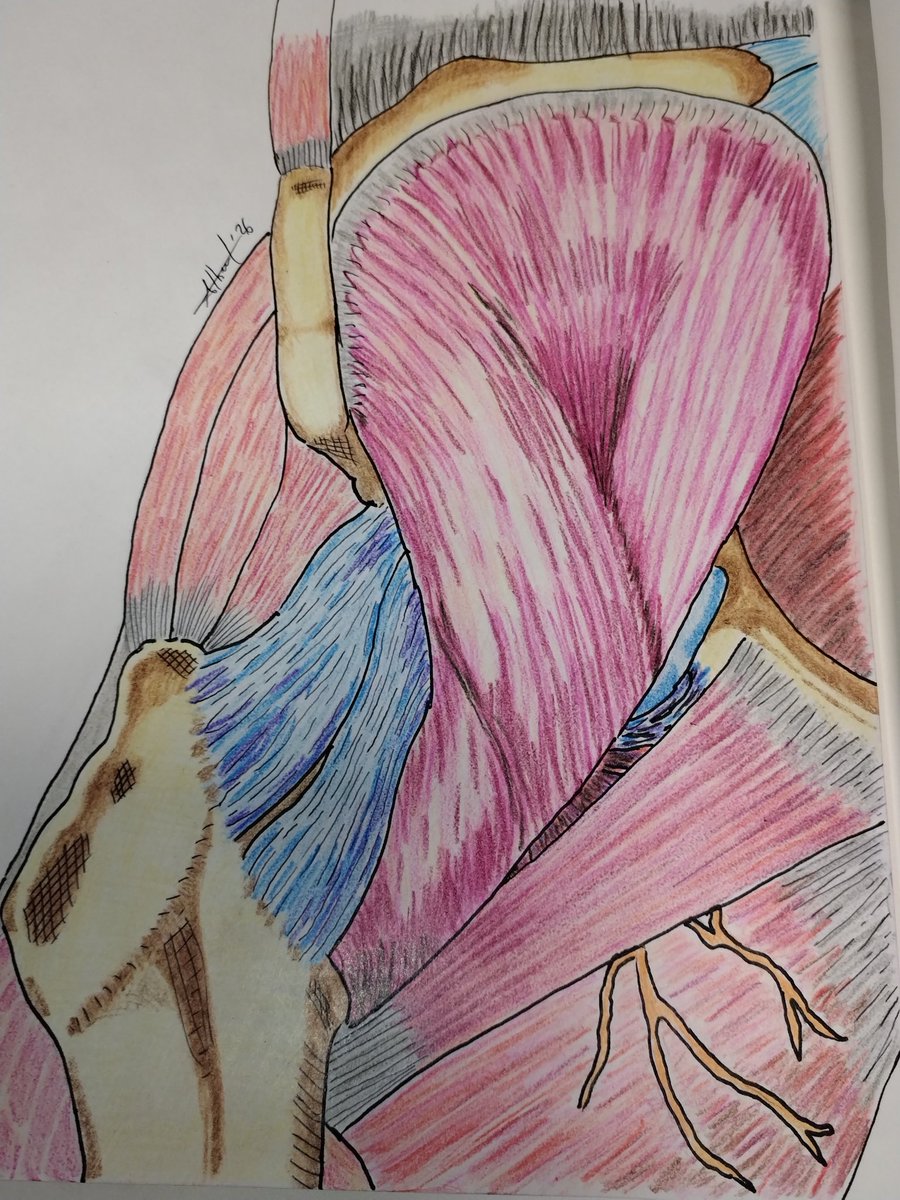 Japanium tweet media