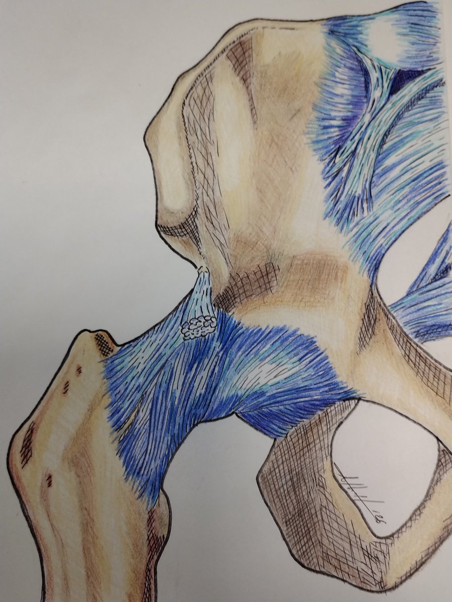 Japanium tweet media